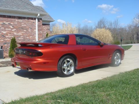 2001 Pontiac Firebird photo