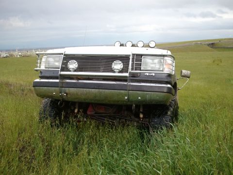 1989 Ford Bronco - This modified Ford Bronco, likely from the early 1980s, sits in a grassy field under an overcast sky.