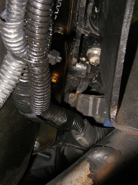 1990 Ford Bronco - A close-up view of a greasy wiring harness and engine components, likely in a vehicle's engine bay.