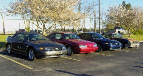 2007 Ford Mustang - Several Ford Mustangs of various generations are parked in a lot under blooming trees.