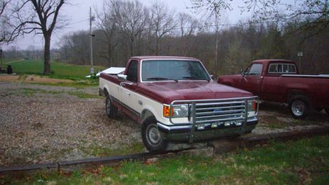 1989 Ford F-150 photo