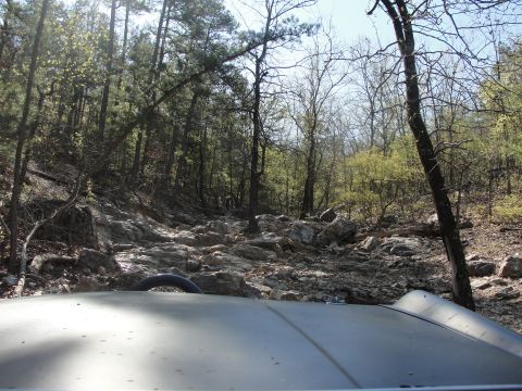 1967 Ford Mustang - A vehicle navigates a challenging rocky path through a dense forest.