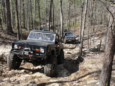 1967 Ford Mustang - Several off-road vehicles navigate a challenging, wooded trail with rocky terrain.