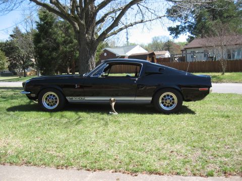1968 Shelby GT500 - This black 1968 Shelby GT500 is captured from the side, its iconic body style and GT500KR badging.