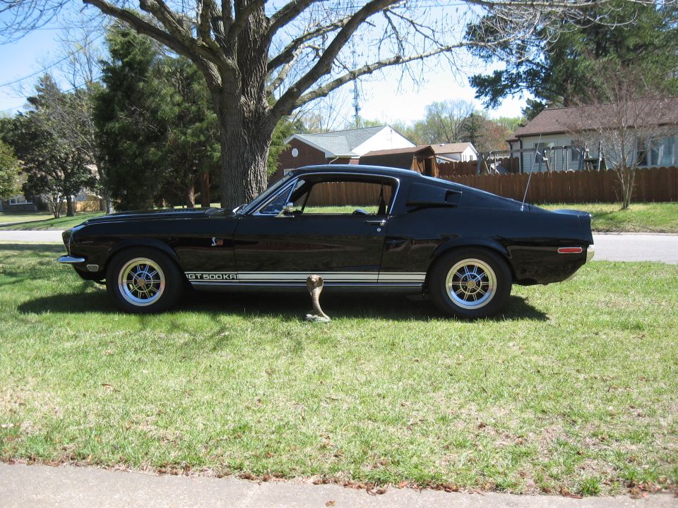 Black 1968 Shelby GT500 side view with GT500KR badging