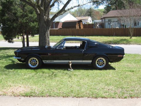 1968 Shelby GT500 - Side profile of a black 1968 Shelby GT500 with GT500 side stripe.