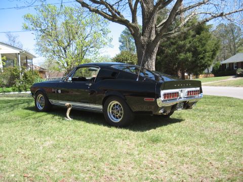 1968 Shelby GT500 - A black 1968 Shelby GT500 is parked on a grassy lawn next to a cobra statue.