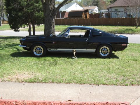 1968 Shelby GT500 - Side profile of a black 1968 Shelby GT500 with GT500KR side stripes.