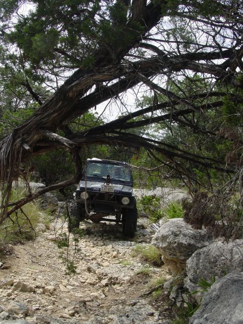 1973 Ford Bronco - Off-road vehicle navigating a rough, rocky path under a large, fallen tree branch.