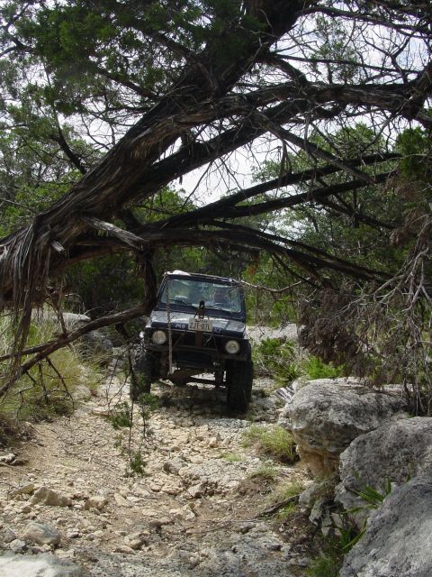 1973 Ford Bronco - A dark-colored off-road vehicle drives through a rocky, wooded area, with a large tree branch hanging low over the path.