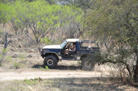 1986 Ford Bronco - A modified Ford Bronco navigates a dusty trail through a wooded area.