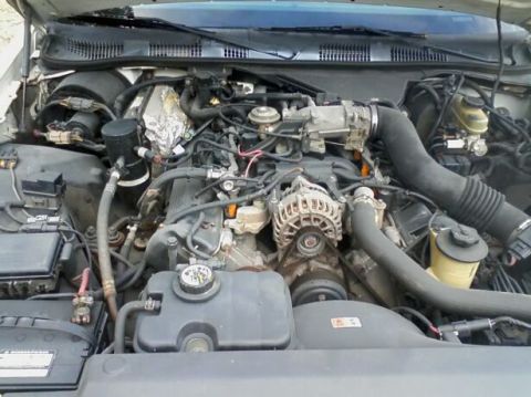 1998 Ford Crown Victoria - Overhead view into the engine bay of a Ford Panther-platform sedan, showing the 4.6L V8 with plastic intake manifold, alternator, serpentin…
