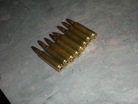 1996 Ford Bronco - Ammunition cartridges are shown on a textured surface.