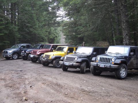 2005 Jeep Wrangler - A group of Jeeps and a pickup truck are lined up on a dirt road in a wooded area.