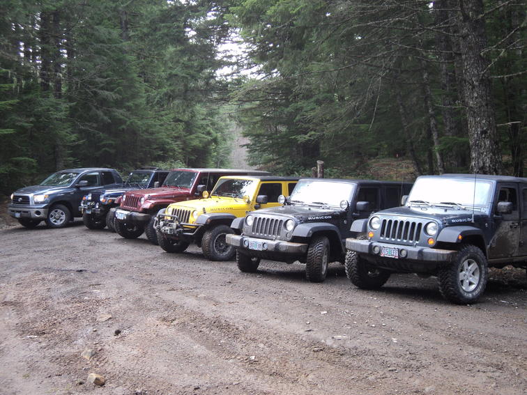Several Jeeps and a pickup truck parked on a dirt road in a forest