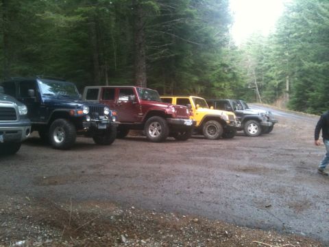 2005 Jeep Wrangler - A group of Jeep Wranglers are parked in a wooded area, possibly on a trail.