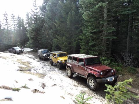 2005 Jeep Wrangler - Several Jeep Wranglers and a pickup truck drive in a line on a dirt road through a forest.