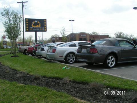2007 Ford Mustang - A line of Ford Mustangs are parked in a lot near Buffalo Wild Wings and Quiznos.