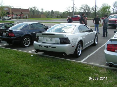 2007 Ford Mustang - A silver 2007 Ford Mustang Cobra is parked in a lot with other vehicles and people nearby.