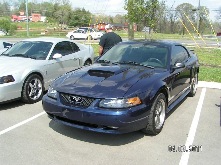 Dark blue Mustang coupe with hood scoop, parked next to a silver Mustang