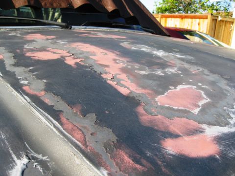 1986 Ford Bronco - The hood of a vehicle displays significant paint damage, with peeling black paint revealing red primer and rust underneath.