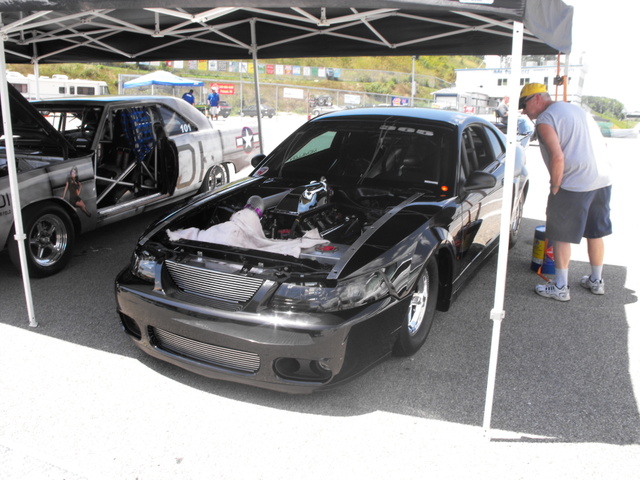 Black Ford Mustang with hood open, showing engine. Another car with racing livery is parked to the left
