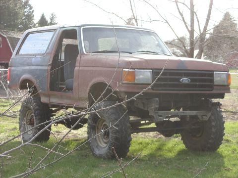 1988 Ford Bronco - This modified Ford Bronco sits on a grassy field, its body showing signs of age and customization.