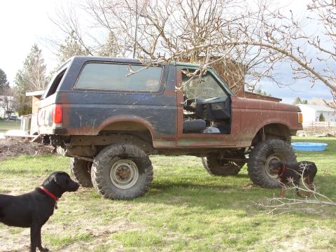 1988 Ford Bronco - This heavily modified SUV sits in a grassy yard, showing off its lifted suspension and large off-road tires.
