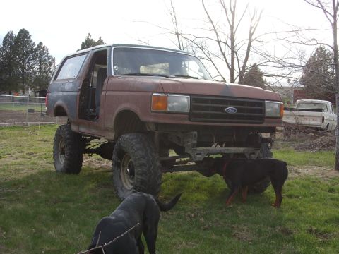 1988 Ford Bronco - A modified Ford Bronco with lifted suspension and large tires sits on a grassy field, with two dogs nearby and another truck in the backgro…
