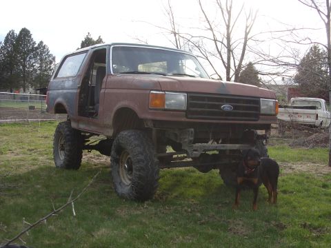 1988 Ford Bronco - This lifted 1987 Ford Bronco, missing its doors, sits in a grassy area with a dog nearby and another truck in the background.