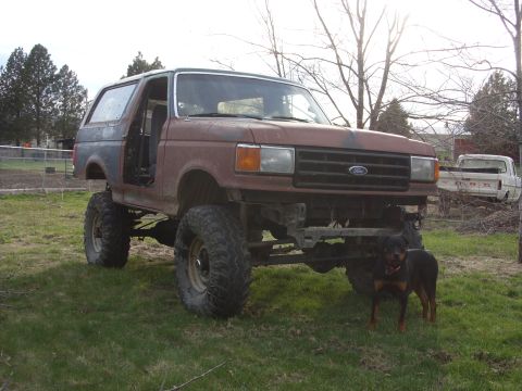 1988 Ford Bronco - This heavily modified Ford Bronco has a lifted suspension and its doors are removed. Another vehicle is parked in the background.