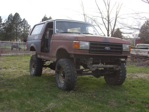 1988 Ford Bronco - This heavily modified Ford Bronco sits in a grassy yard, showing off its lifted suspension and large off-road tires.