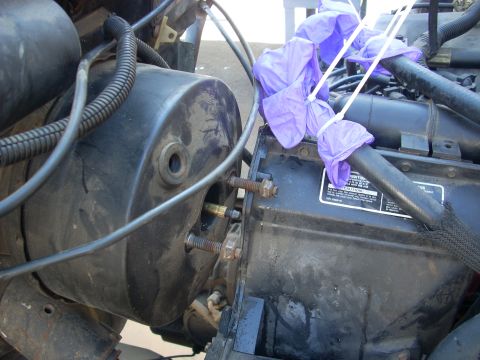 1992 Ford Ranger - Close-up view of engine components, including hoses covered with purple gloves and a visible caution label.