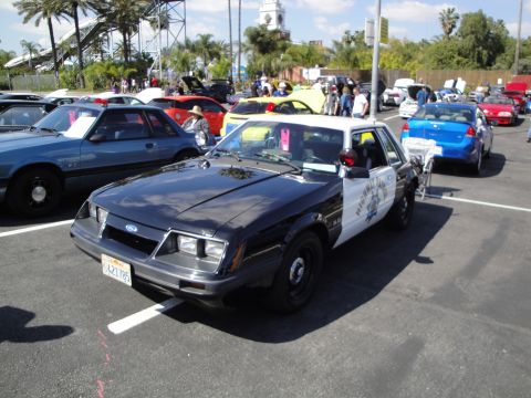 1993 Ford Taurus - A black and white police car is parked in a lot with other vehicles visible.