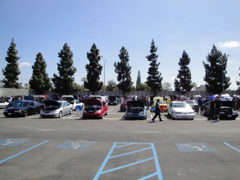 1993 Ford Taurus - A gathering of vehicles with their hoods open, suggesting a car show or meet-up event.