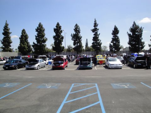 1993 Ford Taurus - A row of cars, including a 1993 Ford Taurus, are parked in a lot with their hoods open under a clear sky.