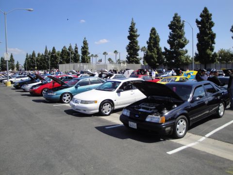 1993 Ford Taurus - Several Ford Taurus sedans from the early 1990s are parked in a lot on a sunny day.