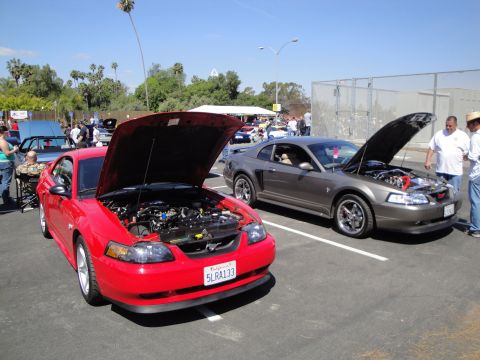 1993 Ford Taurus - Two Ford Mustangs are displayed with their hoods open at an outdoor event.
