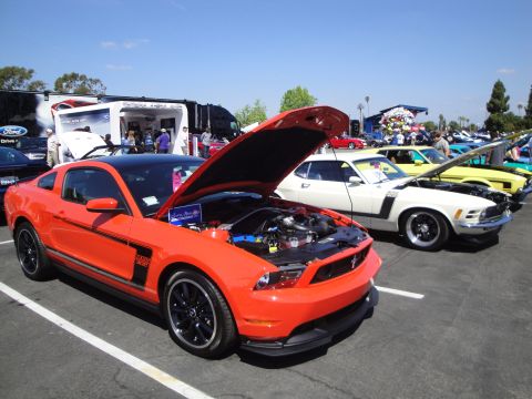 1993 Ford Taurus - Several cars are displayed with their hoods open at an outdoor event under a clear blue sky.