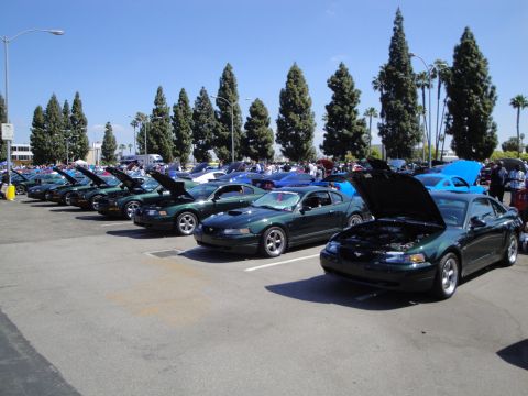 1993 Ford Taurus - A line of dark green Ford Mustangs are parked with their hoods open under a clear blue sky.