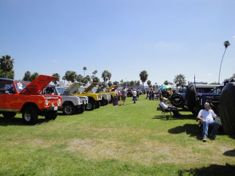 1993 Ford Taurus - A lineup of classic Ford Broncos are displayed on a sunny day at an outdoor event.