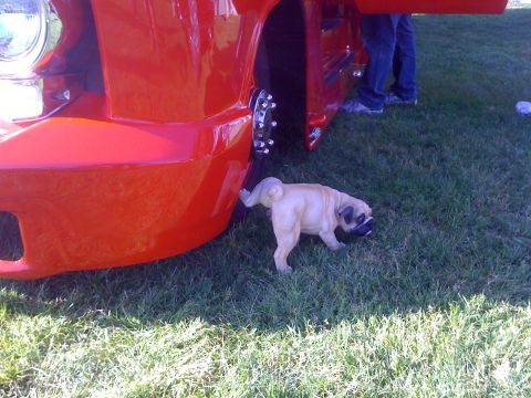 1996 Ford C-350 (Centurion Conversions) - A pug dog sniffs the grass near the wheel of a bright red truck with its door open.