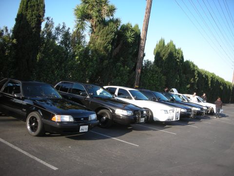 2004 Ford Crown Victoria - A row of Ford Crown Victoria police cars and a black Mustang are parked in a lot on a sunny day.