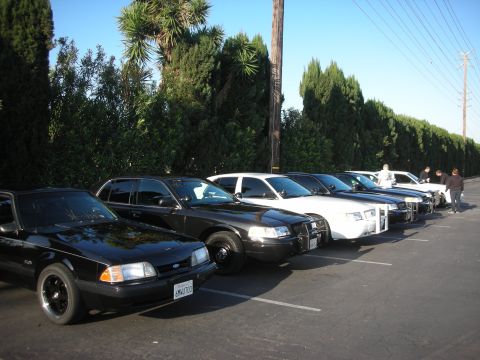 2004 Ford Crown Victoria - A row of Ford Crown Victoria police cars and a black Mustang are parked outside.