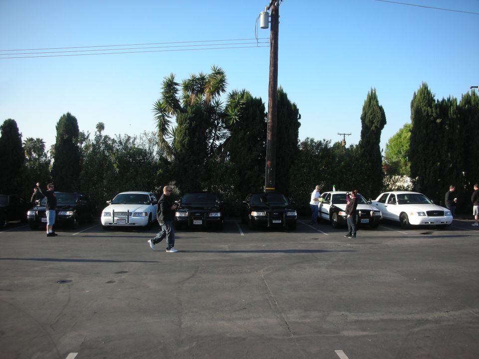 Several police cars and a white civilian car parked in a lot