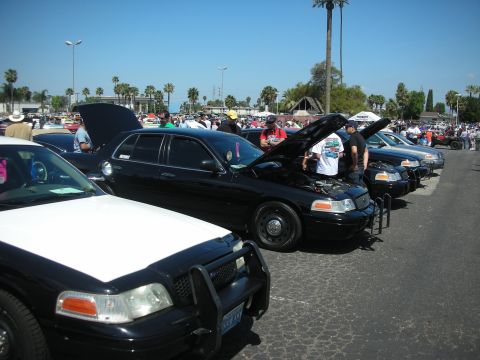 2004 Ford Crown Victoria - A line of Ford Crown Victoria police cars are displayed at an event, with several hoods open.