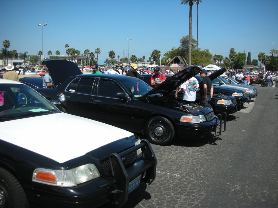 Black 2004 Ford Crown Victoria police car with hood open, parked in a line