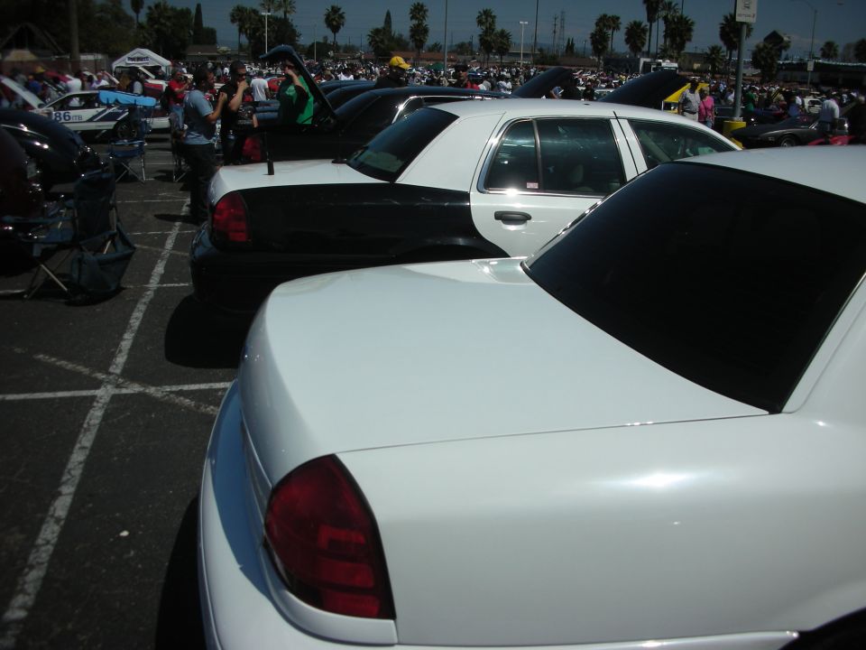 White Ford Crown Victoria rear end, parked next to a black and white car. Other cars and people in background
