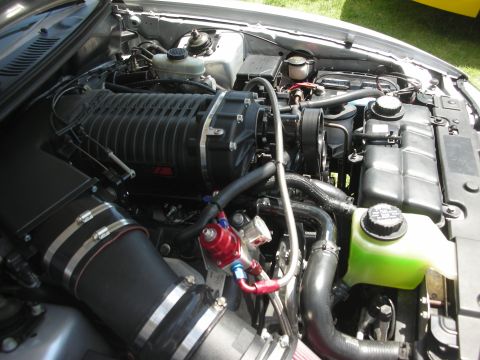 2004 Ford Crown Victoria - Close-up view of a modified engine bay, highlighting a supercharger and associated plumbing.