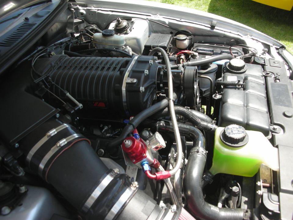Engine bay with a black supercharger, intake piping, and red fuel regulator